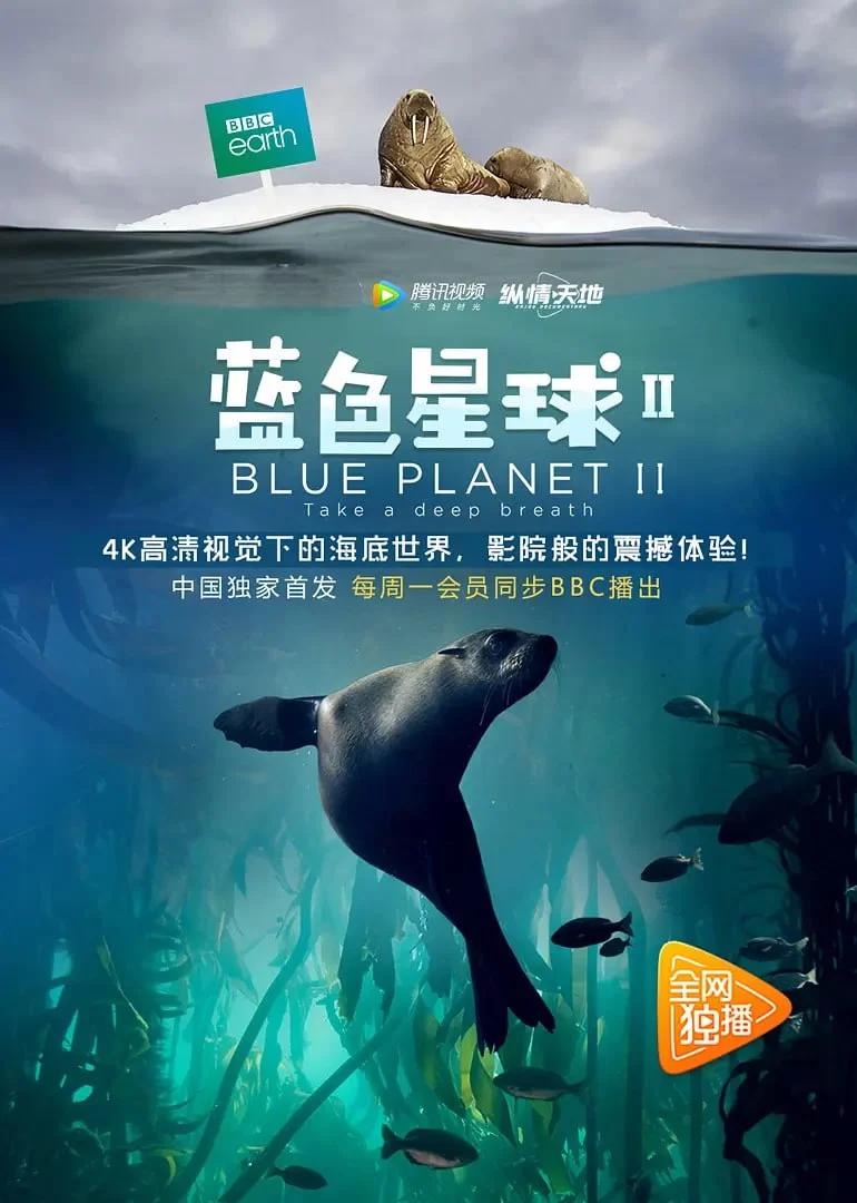 蓝色星球 第二季.2017.4K高码.全7集.英语中字的图片(1)