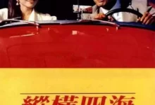 纵横四海.1991.蓝光高清Remux.国粤双语. 周润发 / 张国荣 / 钟楚红-夸克TV
