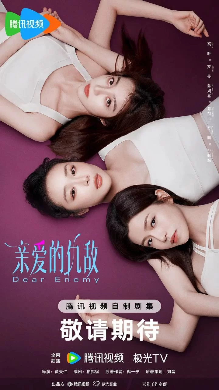 亲爱的仇敌.2025.4K.国语中字.陈妍希/高叶的图片(1)