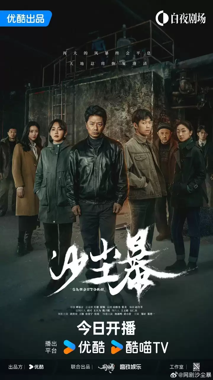 沙尘暴.2025.4K高码.国语中字.全12集完结 [段奕宏]