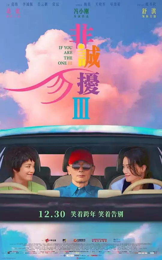 非诚勿扰3 (2023) 国语中字.1080P[舒淇/葛优]